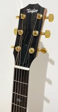 Taylor 214ce-K DLX_4