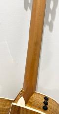 Taylor 214ce-K DLX_7
