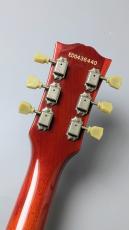 Edwards 【大阪梅田楽器祭 目玉品 10/31(土)発売開始】E-LP-85SD (2004年製)_10