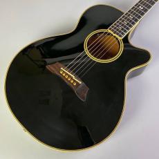 Takamine NPT-115