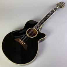 Takamine NPT-115_2