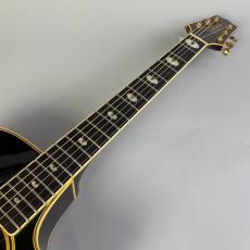 Takamine NPT-115_3