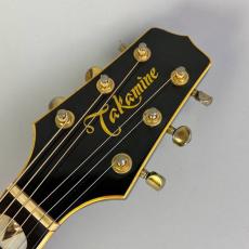 Takamine NPT-115_4