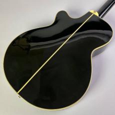 Takamine NPT-115_5