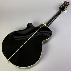 Takamine NPT-115_6