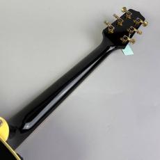 Takamine NPT-115_7
