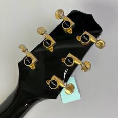 Takamine NPT-115_8