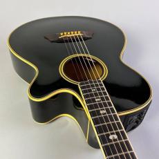 Takamine NPT-115_9