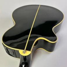 Takamine NPT-115_10