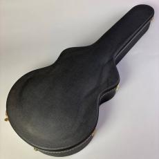 Takamine NPT-115_11