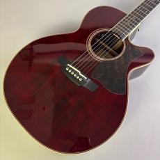 Takamine DMP50S