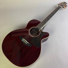 Takamine DMP50S_2
