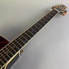 Takamine DMP50S_3
