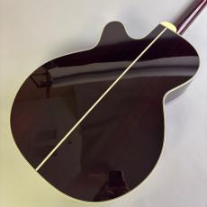Takamine DMP50S_5
