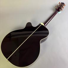 Takamine DMP50S_6