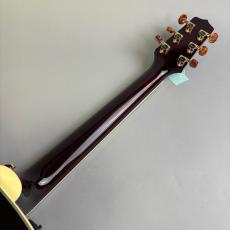 Takamine DMP50S_7