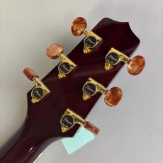 Takamine DMP50S_8