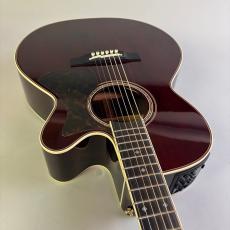 Takamine DMP50S_9