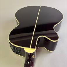 Takamine DMP50S_10