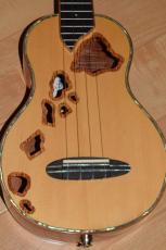 Ana'ole ACS 808_5