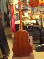 Epiphone FT-30 Caballero_3