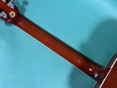 Gibson HUMMINGBIRD HCS _8