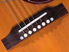 Gibson HUMMINGBIRD HCS _10