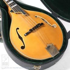 GILCHRIST Model 3<David Grisman Collection>_15