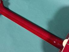 Gibson 60'S DOVE AN_8