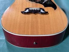 Gibson 60'S DOVE AN_11