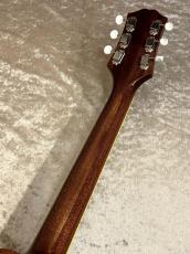 KING SNAKE 【NEW】Muddy Deep Body Poison Burst MD-036 [2.42kg]【G-CLUB TOKYO】_12