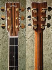 YAMAHA LS56 Custom ARE -2024USED!!-【48回迄金利0%対象】_7