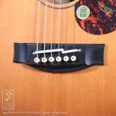 Maton EMD6 (Mini Maton Diesel Special)_10