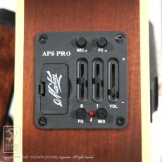 Maton EMD6 (Mini Maton Diesel Special)_13