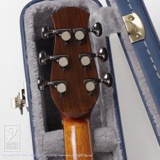 aNueNue LS500_7