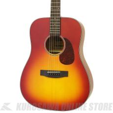 ARIA ARIA-111 MTCS [Aria-111 -Dreadnought-] アコースティックギター【ONLINE STORE】_3