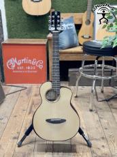 aNueNue aNN-M200E #AN06386【実物写真】【店頭未展示品】【試奏動画あり】《高性能ケーブルプレゼント!》【ONLINE STORE】_3