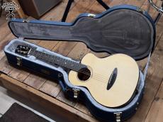 aNueNue aNN-M200E #AN06386【実物写真】【店頭未展示品】【試奏動画あり】《高性能ケーブルプレゼント!》【ONLINE STORE】_10