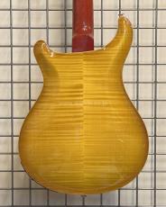 Paul Reed Smith [PRS] Hollowbody II Piezo_4