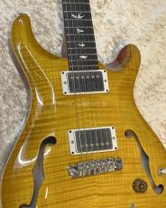 Paul Reed Smith [PRS] Hollowbody II Piezo_6