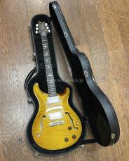 Paul Reed Smith [PRS] Hollowbody II Piezo_7