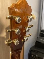 Ibanez SJ-500_4