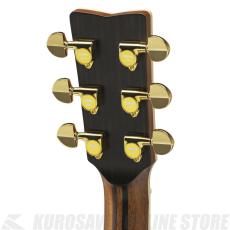 YAMAHA LL36 ARE《メンテナンスグッズプレゼント!》【ONLINE STORE】_5
