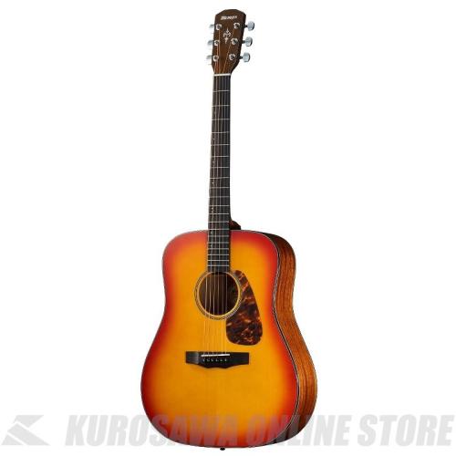 Morris M-025 CS PERFORMERS EDITION (お取り寄せ)【ONLINE STORE】
