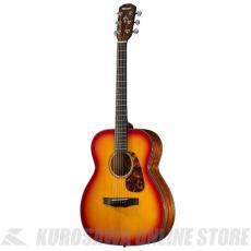 Morris F-025 CS PERFORMERS EDITION (お取り寄せ)【ONLINE STORE】