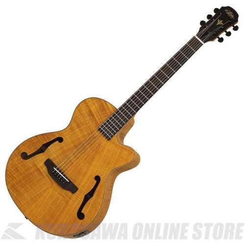 Aria Pro II FET-F2 STBR Elecord エレクトリック・アコースティックギター【ONLINE STORE】