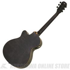 Aria Pro II FET-F2 STBK Elecord エレクトリック・アコースティックギター【ONLINE STORE】_2