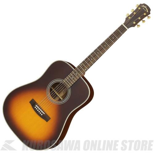 ARIA AD-511 TS [Aria Dreadnought 500 series] アコースティックギター【ONLINE STORE】