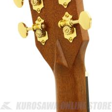 ARIA AF-501 TS [Aria Dreadnought 500 series] アコースティックギター【ONLINE STORE】_4