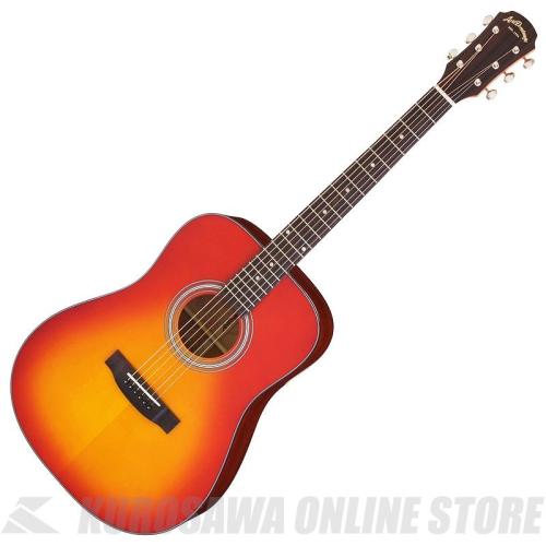 ARIA AD-211 CS [Aria Dreadnought 200 series] アコースティックギター【ONLINE STORE】